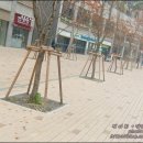 성북-길음-3633 이미지