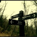 우면산3-17 이미지