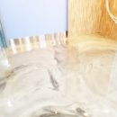 동물에 반하다 동물병원 이미지