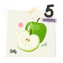 청주미즈맘산부인과의원 네이버블로그