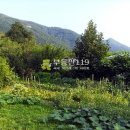 신기서길 이미지