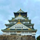 주율 | 오사카 주유패스 가격 구매 후기 교환처 뽕뽑는법 총정리