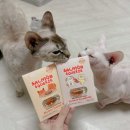 스푼풀코리아 | 스푼풀코리아 고객 만족 후기! 너무 감사드려요!