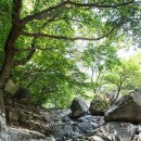 기장임랑썸머뮤직페스티벌 이미지