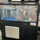 수족관에빠진삼겹살 이미지