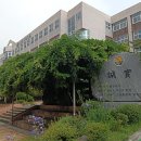 신현여자중학교 | [2년 전 오늘] 의사소통 갈등관리 신현여자중학교 남호에듀 대표 장정륜 진행후기