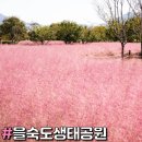 하단동1200 이미지