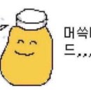 속초사진관 이미지