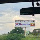 Korea Go Tours | 야생 고릴라를 보러 우간다까지 가다 - Traveling all the way to Uganda to see the wild gorillas