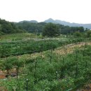 옥천농장 이미지