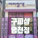 구피샵