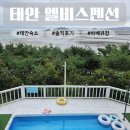 엘비스 | 태안 숙소 엘비스 펜션 오션뷰 바베큐장 수영장 장점과 꼭 확인해야 할 단점 솔직 후기