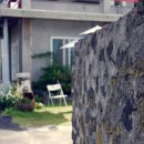 포도나무민박 이미지