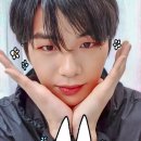 2020-주129 이미지