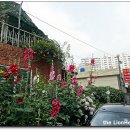 장원아구찜 이미지