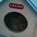 도그원동물의료센터 이미지