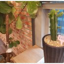 회룡한의원 이미지