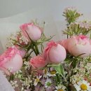 플라워펫 이미지