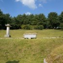 조경 선생 묘 이미지