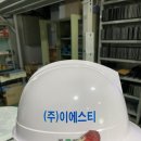 (주)이에스티