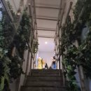 타이그랜파 이미지