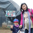 도현이네 농장 이미지