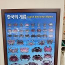 구룡포대게 | 대게닷컴, 독도 근해 최상급 구룡포 대게 추천 후기