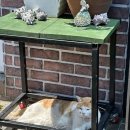 노을이야기 민박 이미지