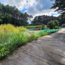 이목리마을회관 이미지