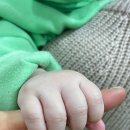 남악농장 이미지