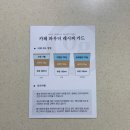 제로슈거마트 라떼 3종 솔직후기｜미숫가루·말차·밀크티 무설탕인데 이렇게 맛있다고?