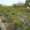 김주일농장 이미지