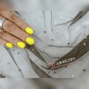 손톱세운고양이