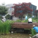 고기연구소 이미지