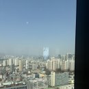 11545-04-02-15 | [26/03/27~04/02 :: 28W]👼🏻베이비 루나 일기 (9) 부제 : 꼬리뼈통증..이게 바로 환도통증?)