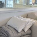 올라 아미고 펜션 이미지