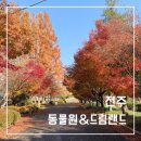 원안양 | 전주 동물원, 동물 구경부터 놀이공원까지 가족나들이 하기 좋은 곳