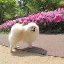 루팡 - 강남구 | 루팡