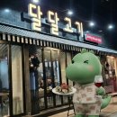 수정단대-D-1 | [단대오거리 고기집] 고기 다 구워주는데 콜키지 프리라고? 연말 모임 단체 회식은 무조건 달달고기