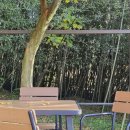 금평1 | [김제여행] 금평저수지를 보며 즐기는 카페, 김제 카페달밤 주말 후기(주차, 메뉴 및 할인 정보)