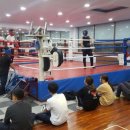 챔프복싱아카데미 이미지