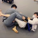 용인대 특전합기도 이미지