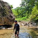 별비 모터스 이미지