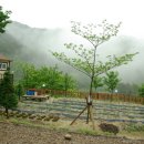 소금강펜션 이미지