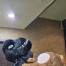 트윈빌 스크린골프 이미지