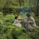 제주의 한란 이미지