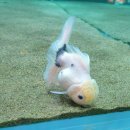 주몽오락실 이미지