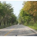 담양호국민관광지 이미지