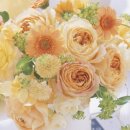 파워포인트 활용 이미지