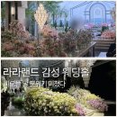 캐슬가든 | 비 오는날 더 예뻤던 웨딩홀｜L65호텔웨딩컨벤션 가든홀 후기